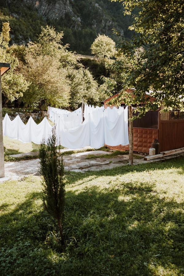 טת 'Gurra Family' Guesthouse מראה חיצוני תמונה